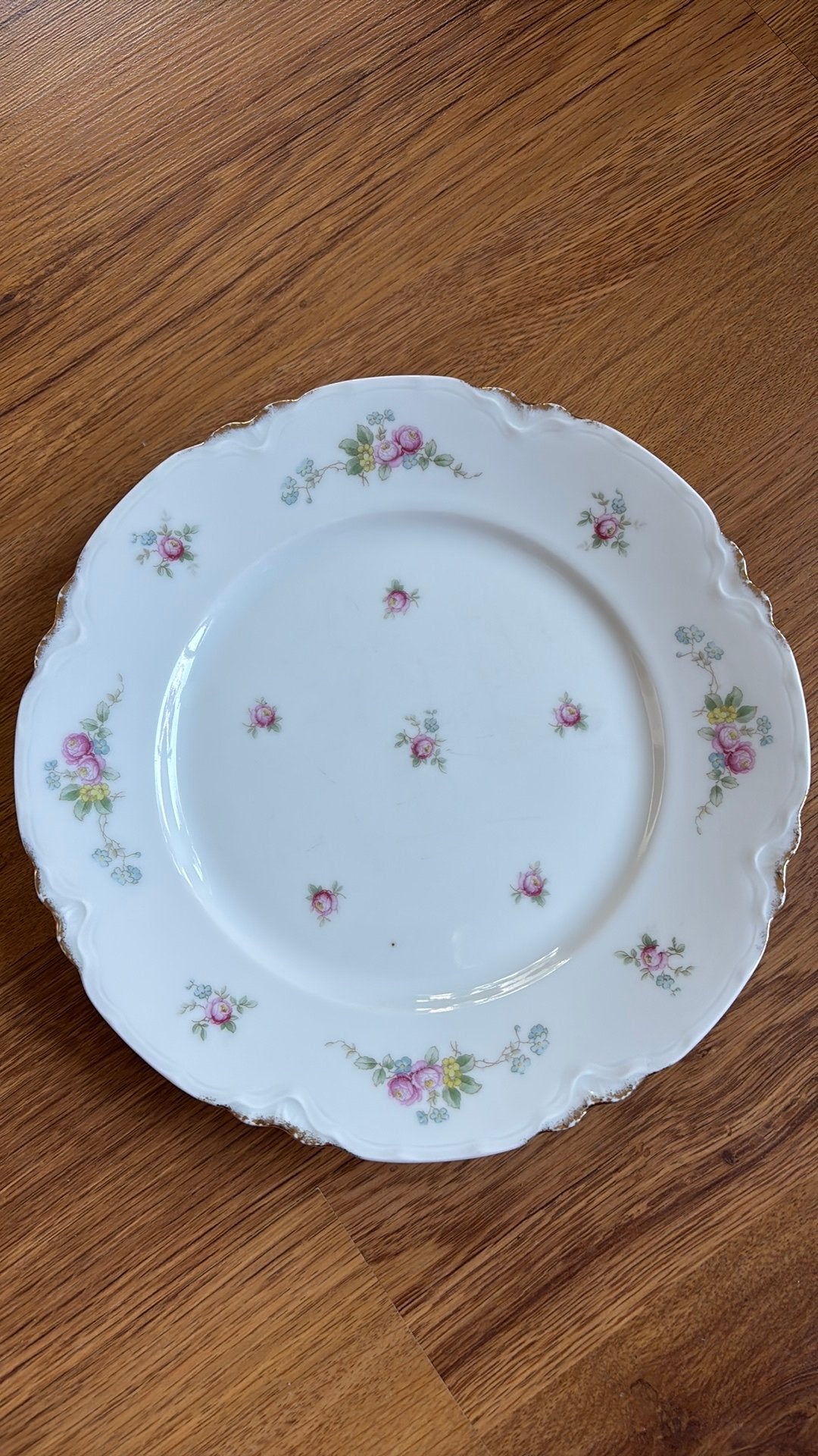 Gezocht: Servies van Bavaria Thomas, Ophalen of Verzenden