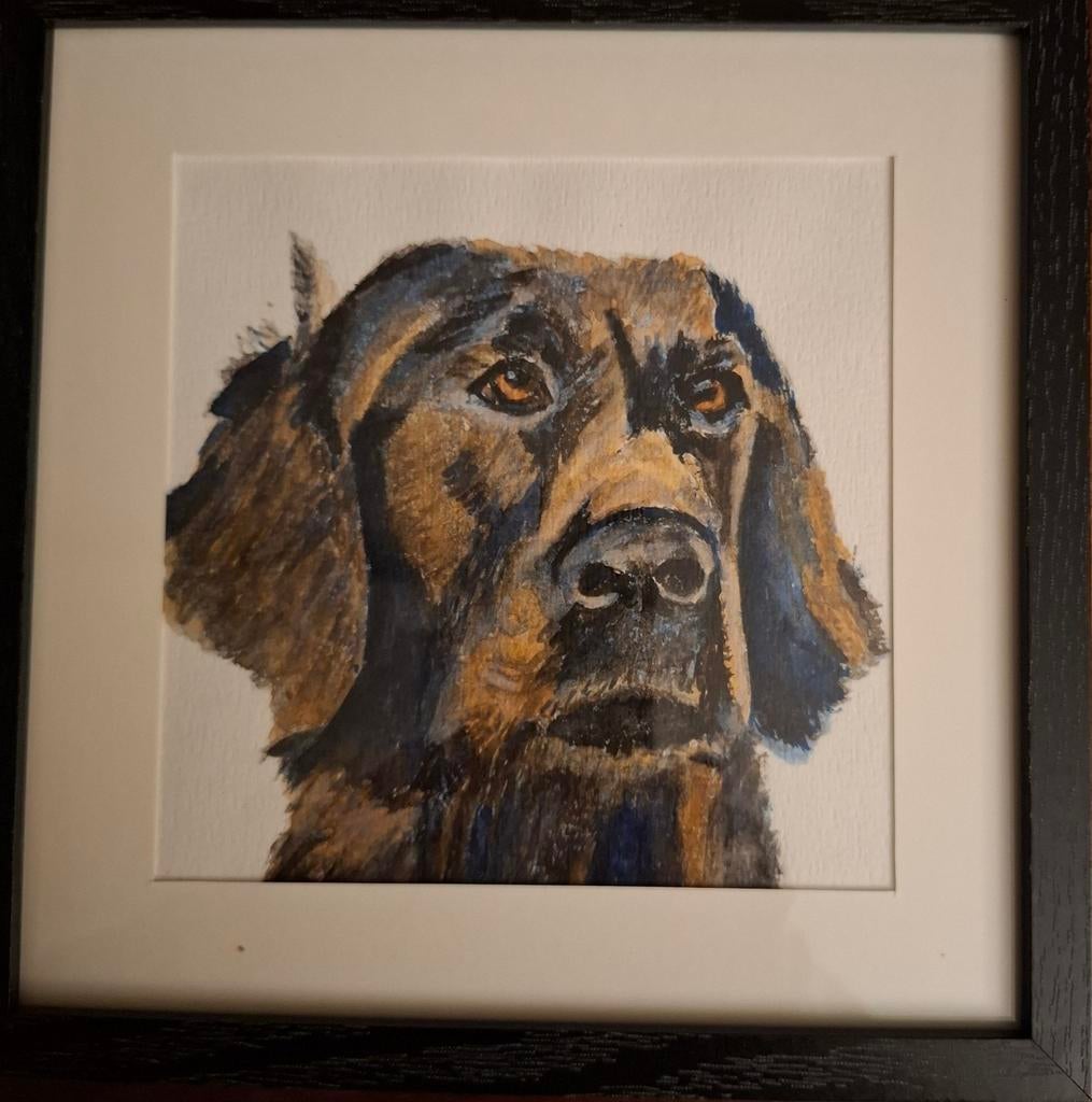 Aquarel flatcoated retriever, Ophalen of Verzenden