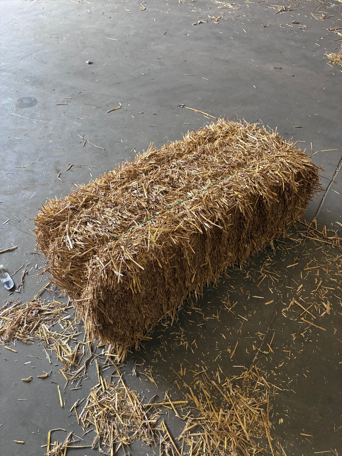 Tarwe en gerst stro, Dieren en Toebehoren, Ophalen of Verzenden, Vee