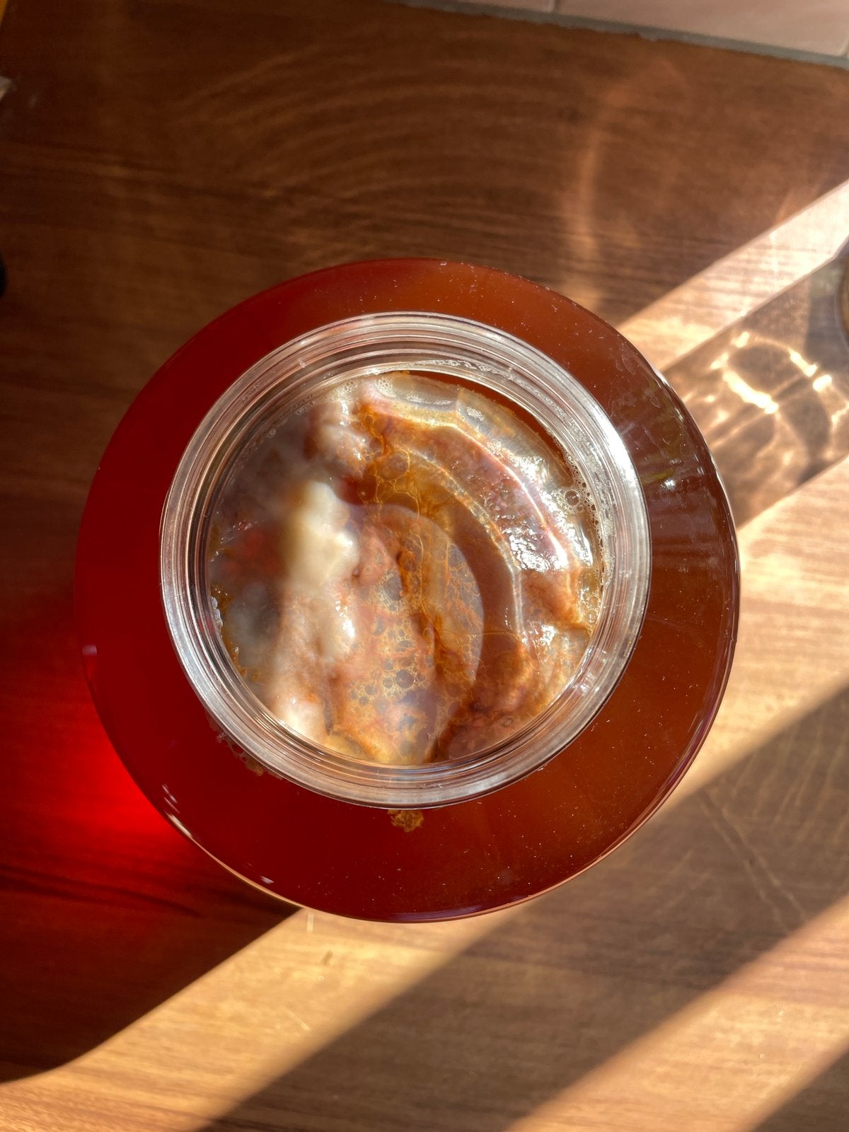 Kombucha scoby (bio zwam + vloeistof), Ophalen