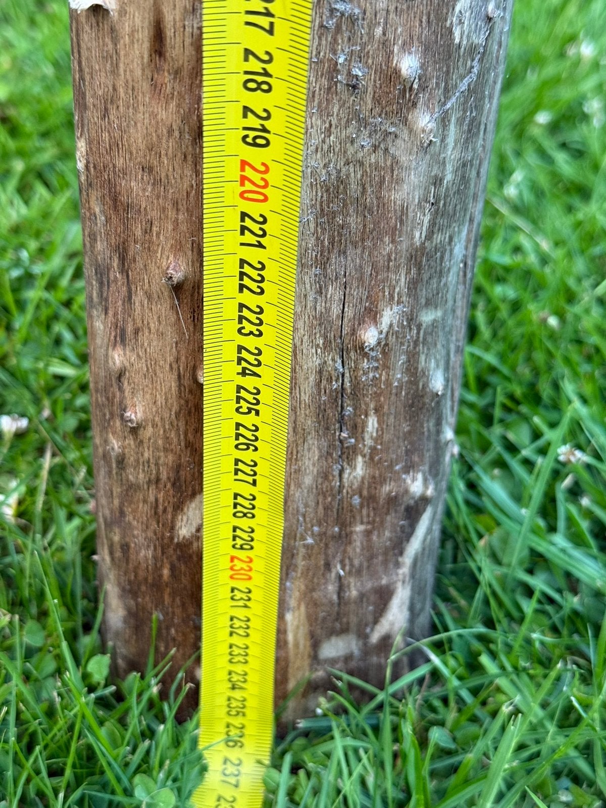 Afrikaanse tuin palen, Ophalen, Zo goed als nieuw, 250 cm of meer, Palen