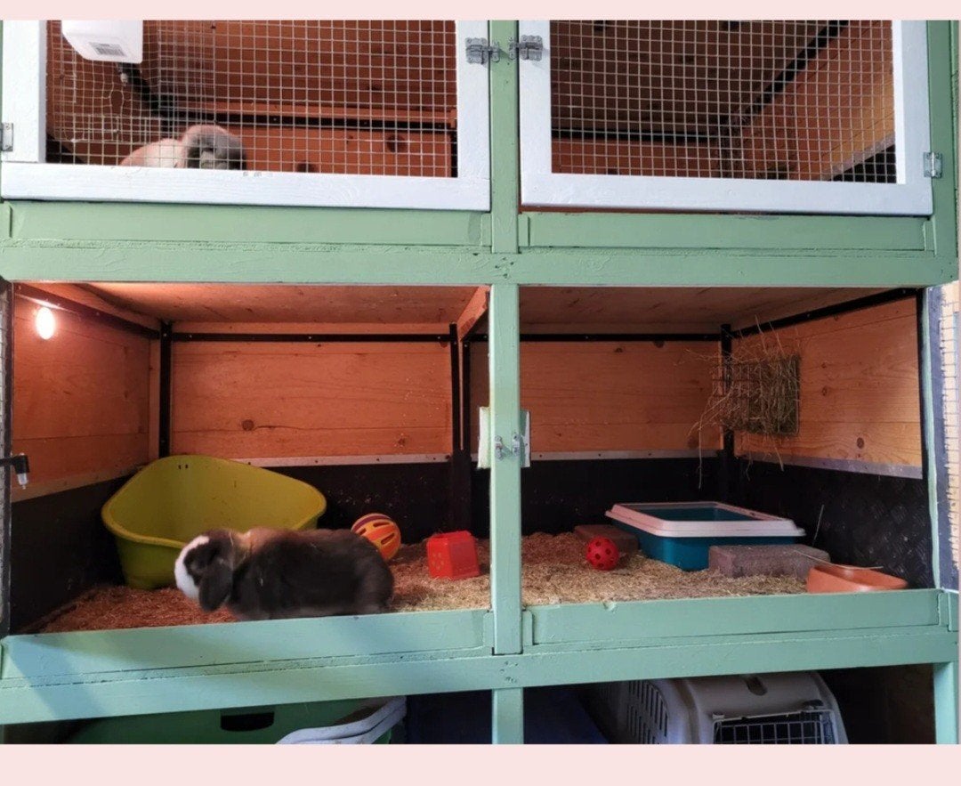 1x konijnenflat caviaflat dierenverblijf te koop., Dieren en Toebehoren, Knaagdieren en Konijnen | Hokken en Kooien, Ophalen, 110 cm of meer