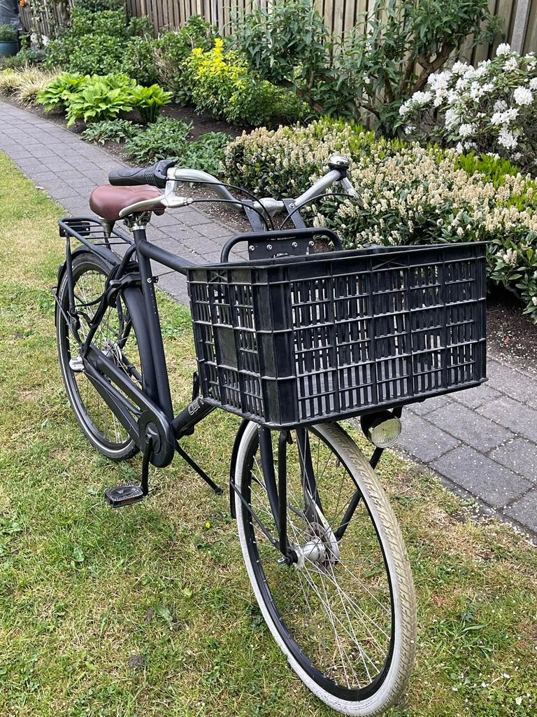 Cortina U4 Transportfiets Heren - Mat Zwart, Terugtraprem, Gebruikt, Versnellingen, 56 cm of meer