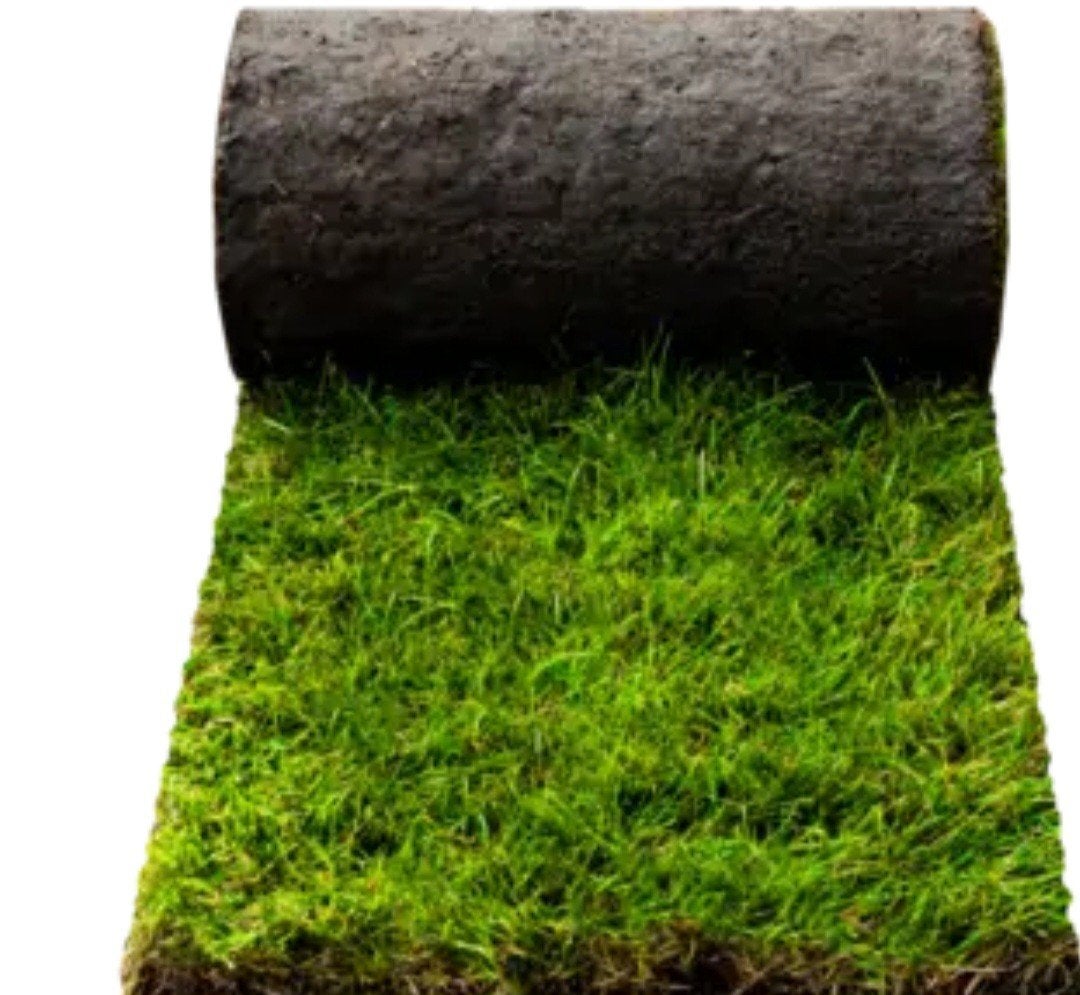 Gevraagd graszoden, Ophalen, Nieuw, Minder dan 10 m², Gras