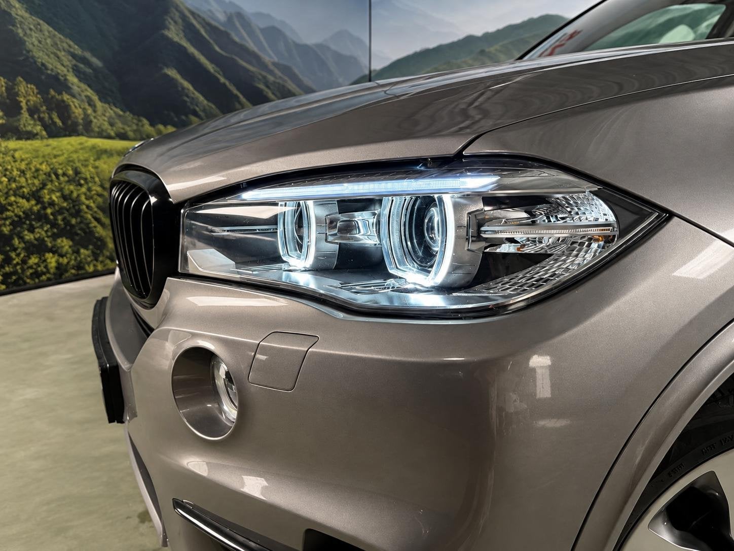BMW X5 xDrive iPerformance l Pano l SOH 95% l trekhaak l 20, Gebruikt, Bedrijf, Vierwielaandrijving, 313 pk