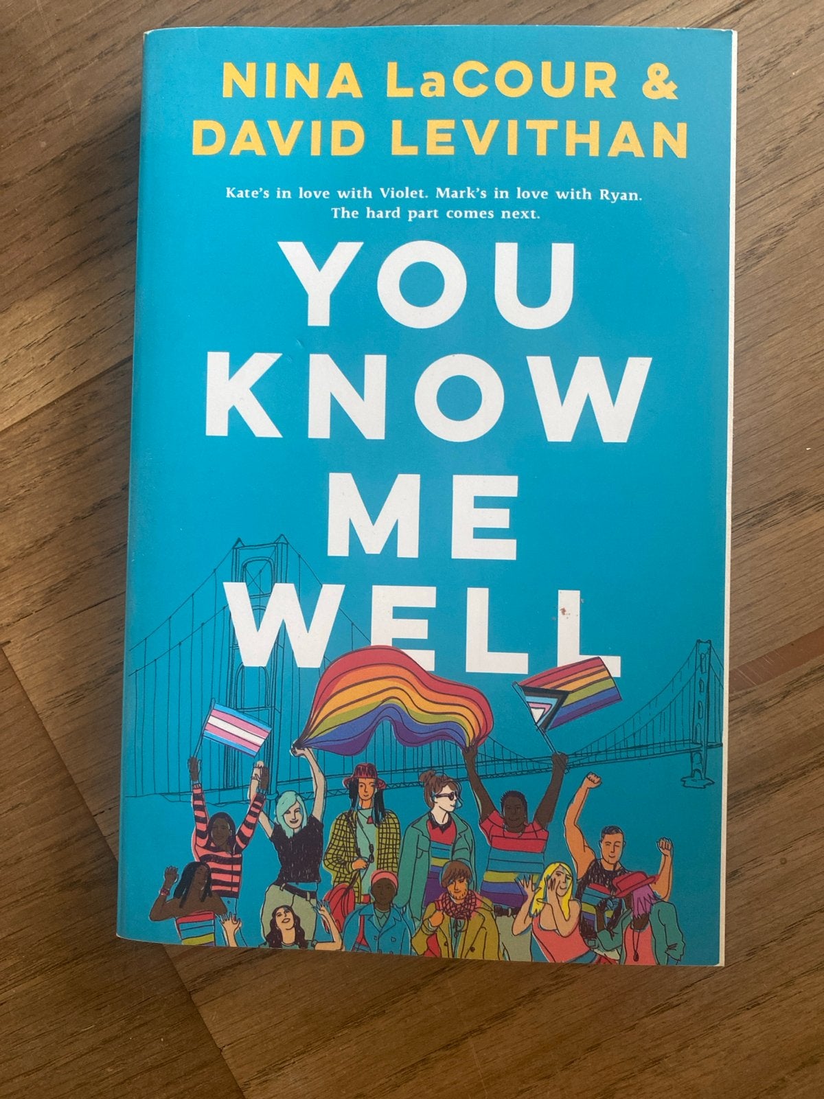 You Know Me Well - Nina LaCour & David Levithan, Ophalen of Verzenden, Zo goed als nieuw, Amerika