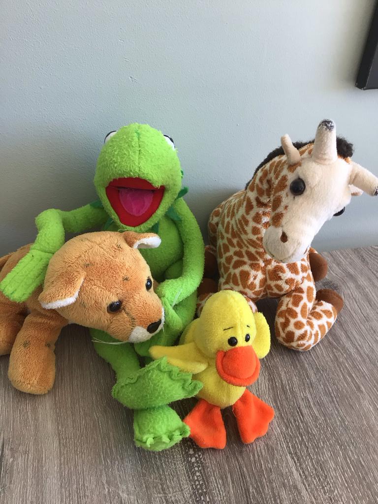 Leuke knuffels: Kermit, giraf, hond en eend, Ophalen, Gebruikt, Overige merken, Overige karakters