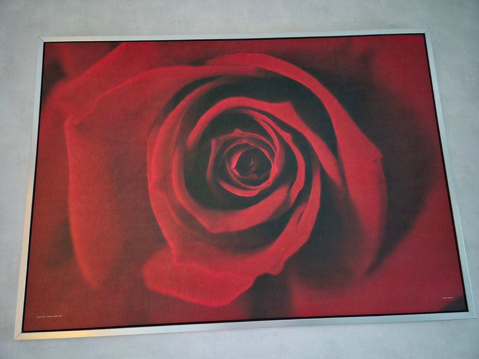 Rode roos in rvs lijst, Ophalen, 125 cm of meer, Zo goed als nieuw, Foto of Poster