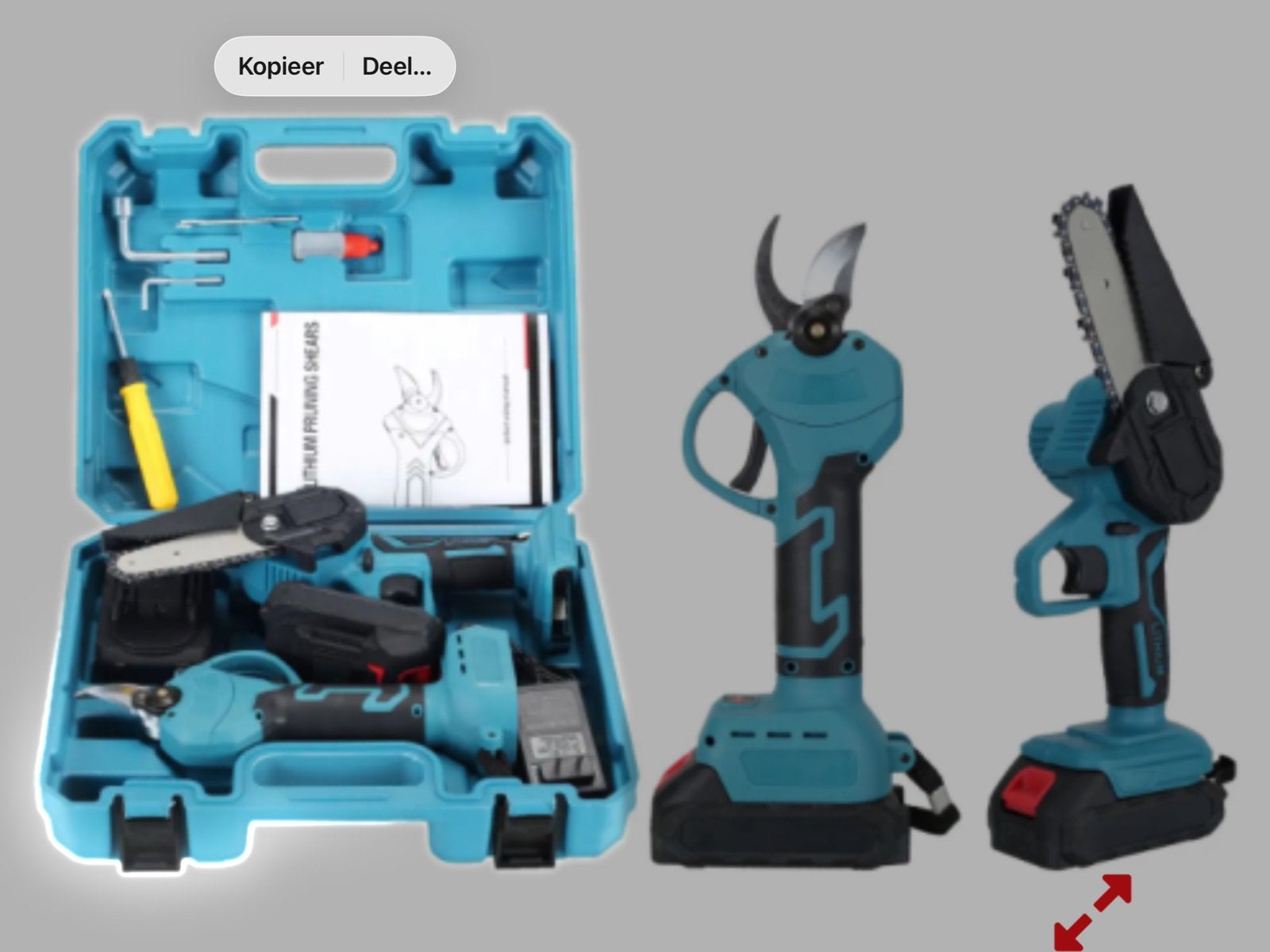 24 v kettingzaag en 24 v snoeischaar 2 accu,s in een koffer, Tuin en Terras, Hand-tuingereedschap, Ophalen of Verzenden, Nieuw