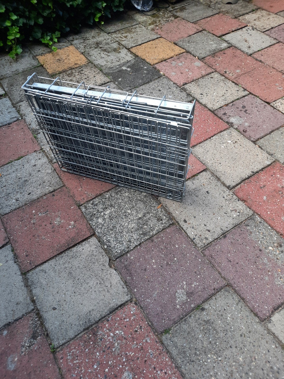 Honden bens i.z.g.st, Dieren en Toebehoren, Ophalen