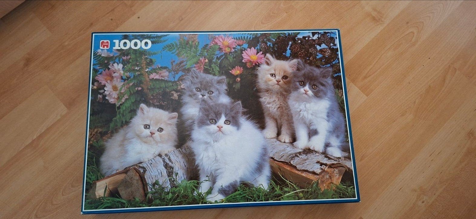 Jumbo Legpuzzel 1000 stukjes - Schattige kittens, Ophalen of Verzenden, 500 t/m 1500 stukjes, Zo goed als nieuw, Legpuzzel