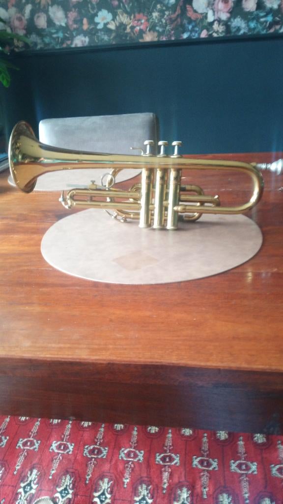 Vincent Bach Cornet Mercedes I, Ophalen of Verzenden, Gebruikt, Bes-trompet, Met koffer