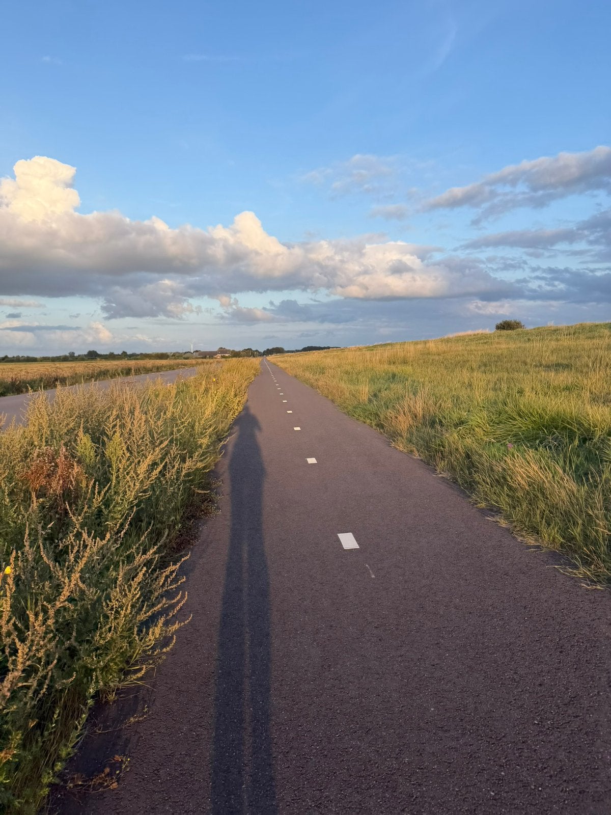 Startbewijs kwintelooyen run, Tickets en Kaartjes, Eén persoon, September