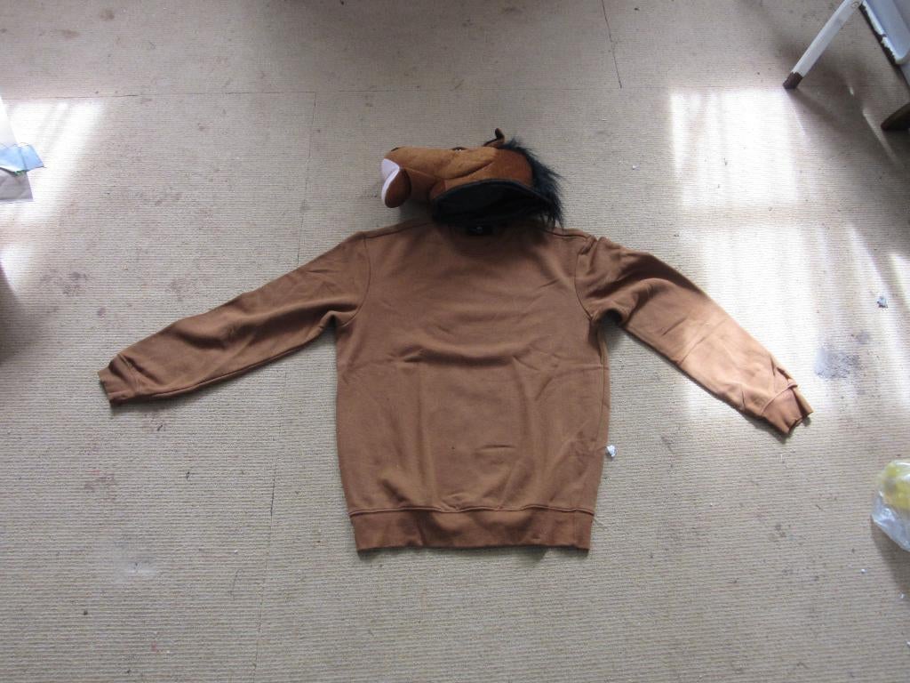 bruine trui met paardenkop, Ophalen, Gedragen, Carnaval, Kleding