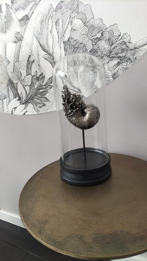 Glazen Stolp met zilverkleur Schelp .Merk PTMD, Ophalen of Verzenden