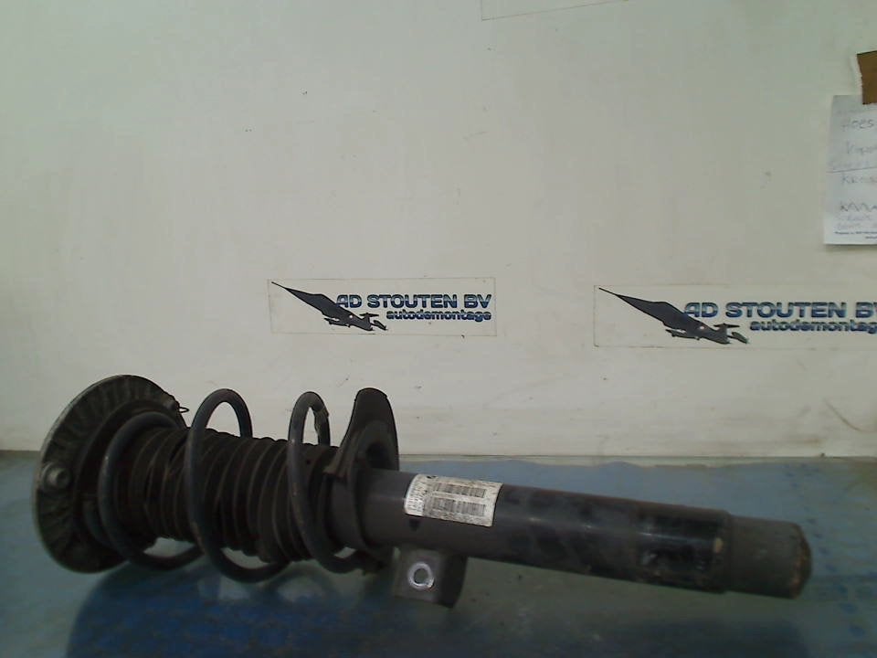 Veerpoot Links Voor BMW 1 serie (F20) 2013 14941510, Auto-onderdelen, Gebruikt, Petuelring 130, München 80809, , Duitsland, BMW
