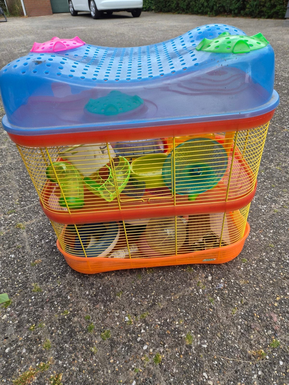 Hamsterkooien met toebehoren, Dieren en Toebehoren, Ophalen of Verzenden