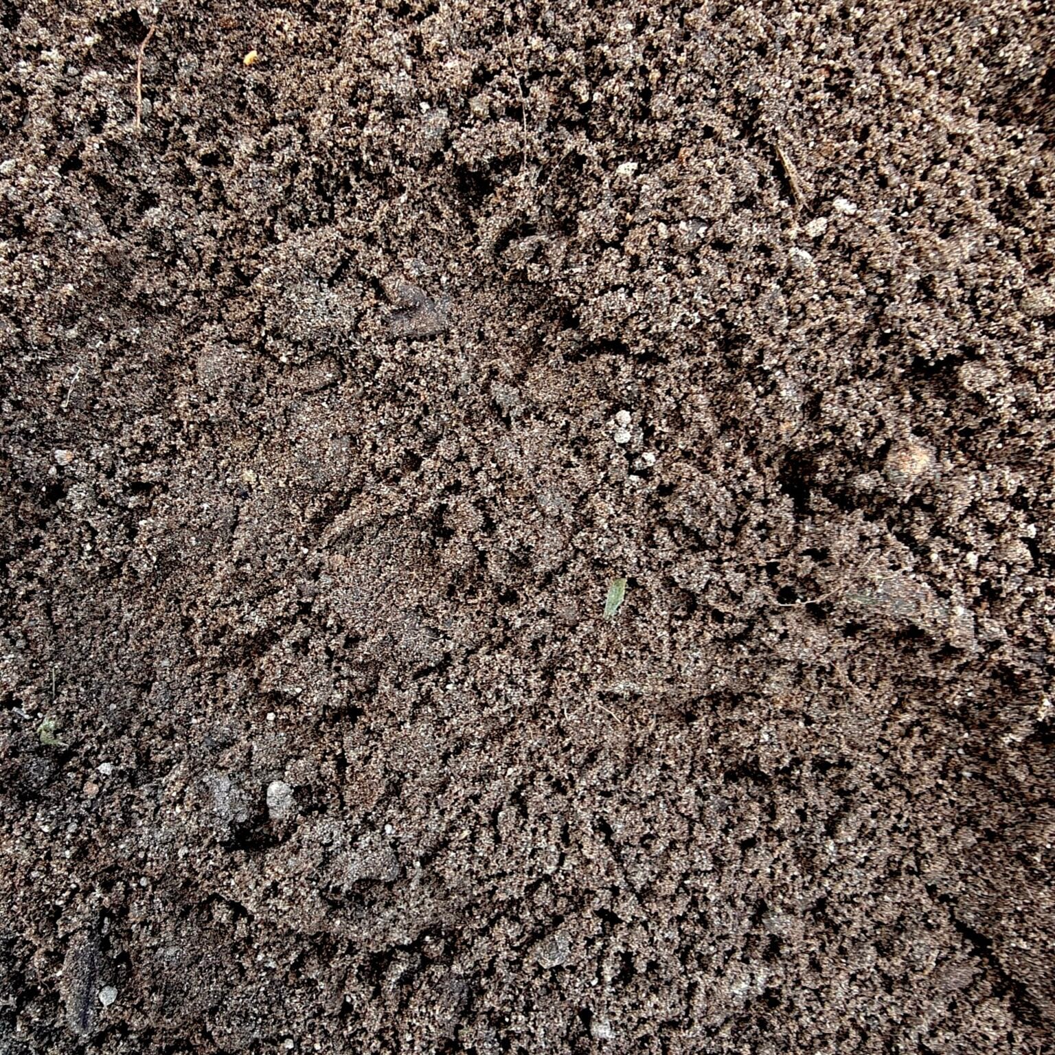 Zand/zandgrond gezocht, Ophalen