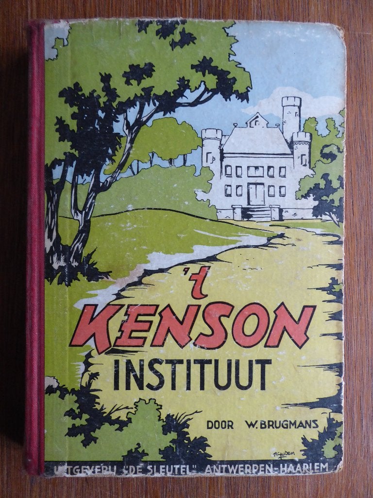 't Kenson instituut - W. Brigmans, Boeken, Ophalen of Verzenden, Gelezen