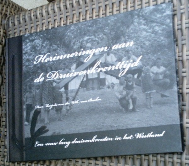 Herinneringen aan de Druivenkrenttijd. ISBN 9789081313315., Boeken, Geschiedenis | Stad en Regio, Ophalen of Verzenden, Zo goed als nieuw