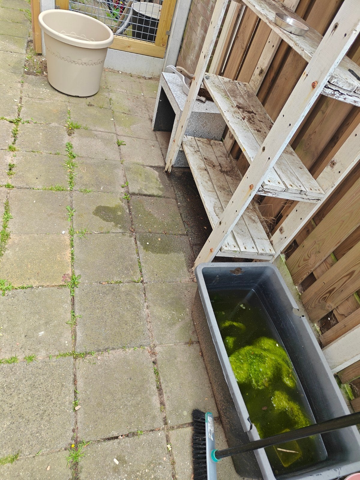 Stoeptegels voor de liefhebber - Gebruikt maar functioneel, Tuin en Terras, Ophalen, Gebruikt, 5 tot 10 m², Beton