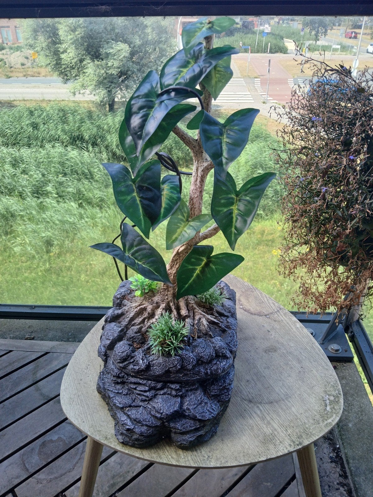 Water druppelaar voor terrarium, Ophalen of Verzenden, Gebruikt, Tak, Plant, Rots of Steen