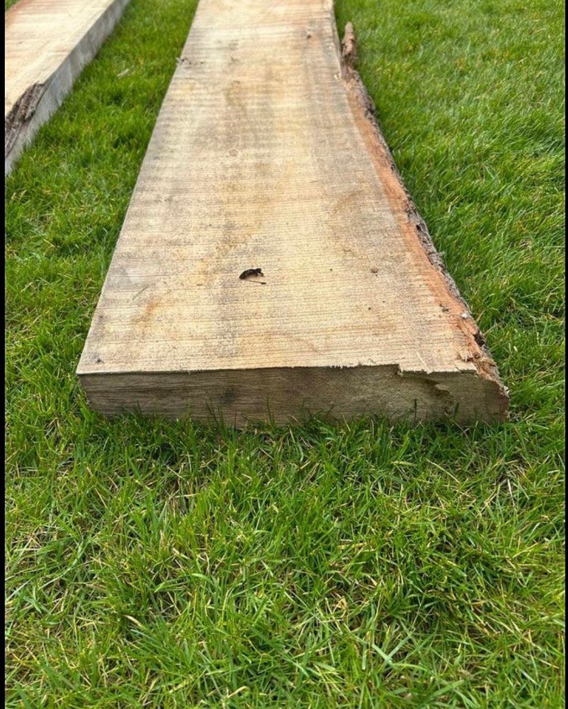 Iep/olm boomstamplank 2 stuks, Ophalen, Zo goed als nieuw, 250 cm of meer, Planken