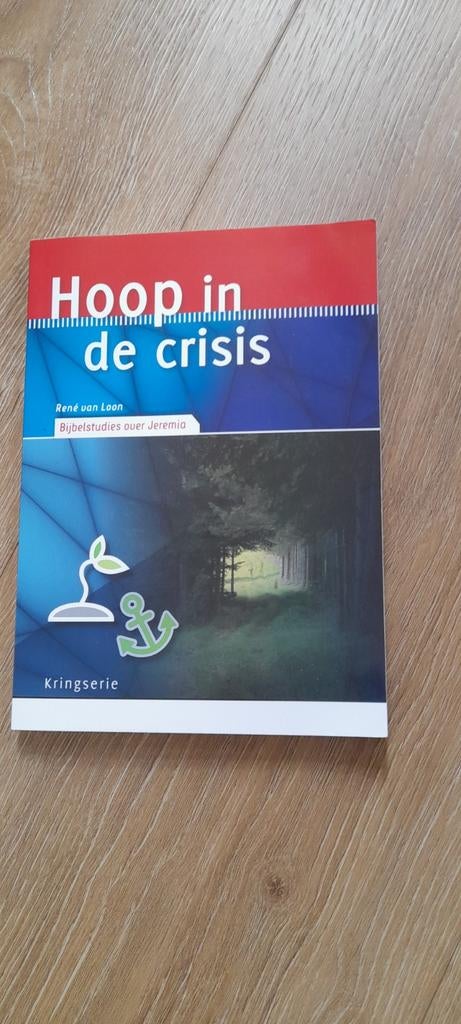 Hoop in de crisis - Bijbelstudies over Jeremia, Boeken, Ophalen of Verzenden, Zo goed als nieuw, René van Loon, Christendom | Protestants