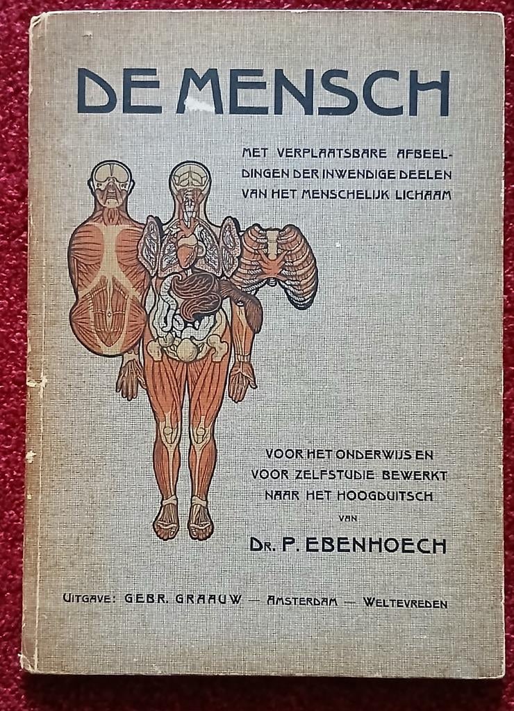 De Mensch - Anatomieboek met uitklapbare platen, Boeken, Ophalen of Verzenden, Gelezen, Dr. P. Ebenhoech, Natuurwetenschap
