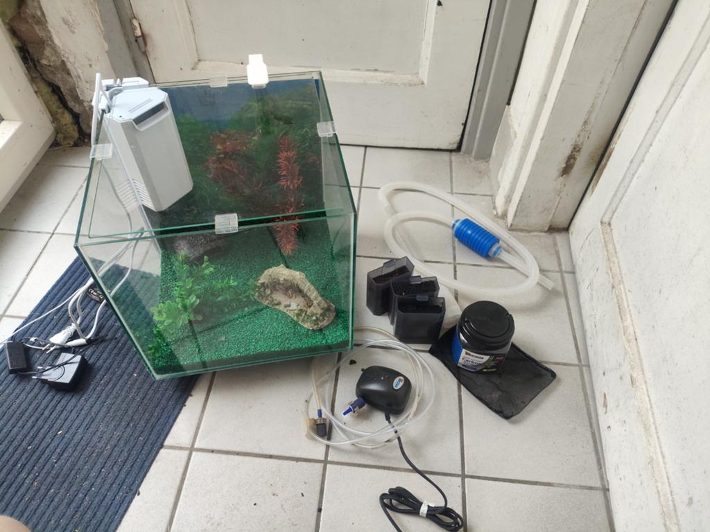 Aquarium cube 30liter, Dieren en Toebehoren, Vissen | Aquariumvissen, Vis