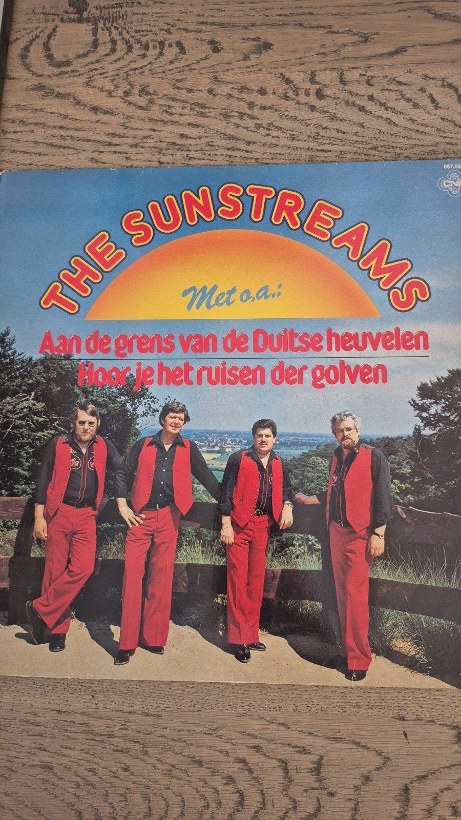 LP van de sunstreams, Ophalen of Verzenden, Gebruikt, Overige formaten, Levenslied of Smartlap