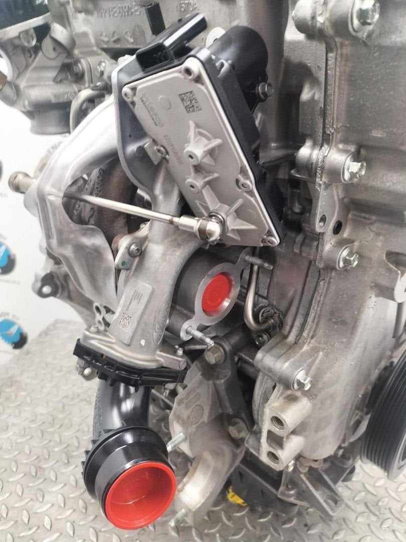 FORD KUGA DFK TITANIUM TURBO 2024, Ophalen of Verzenden, Gebruikt, Stiba lid