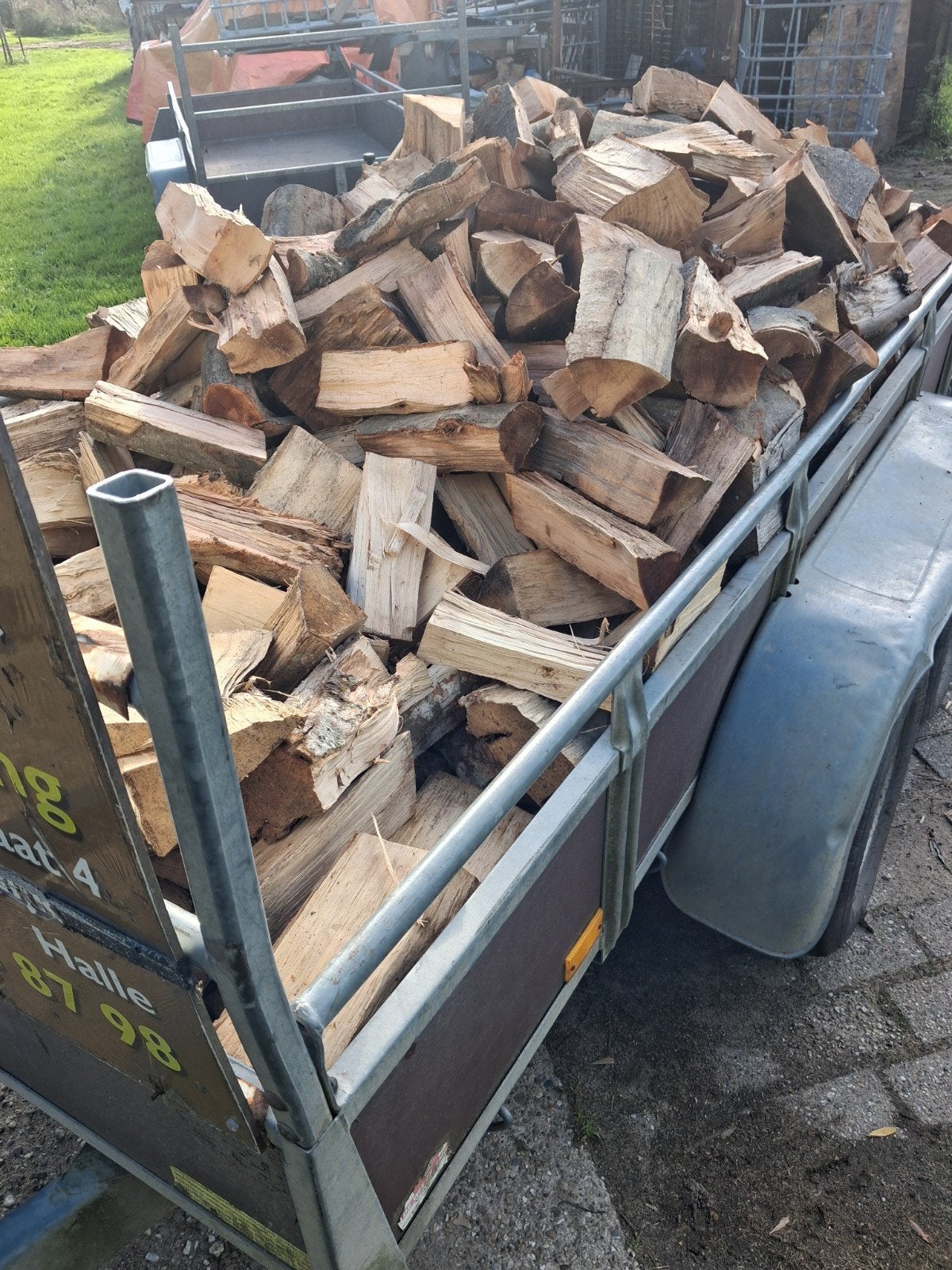haagbeuk LG 25cm., Tuin en Terras, Ophalen of Verzenden