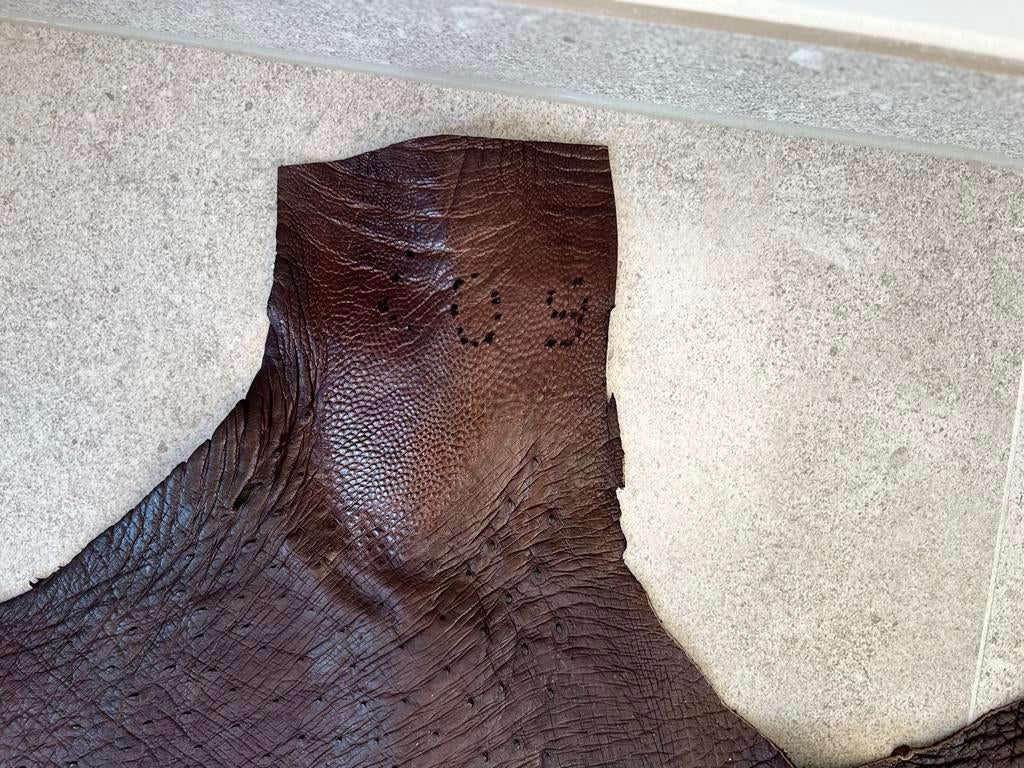Exclusieve struisvogelleer huid uit Zuid-Afrika, Ophalen of Verzenden, Nieuw, Bruin, Leer