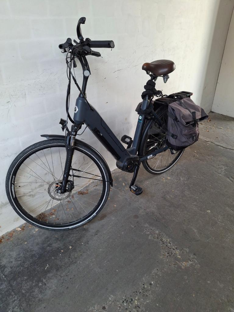 Electrische fiets amslod (dolsma), Fietsen en Brommers, Elektrische fietsen, Ophalen, Overige merken