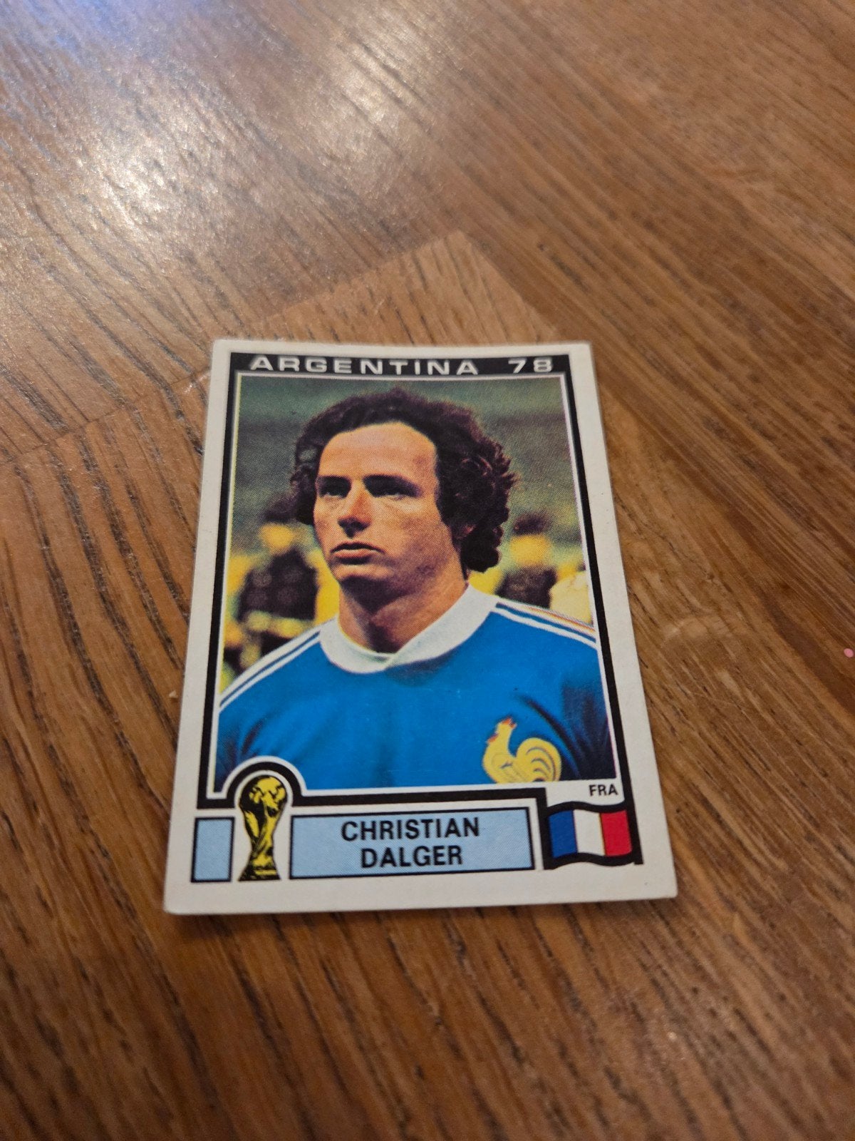 Panini WK 78, Ophalen of Verzenden, Zo goed als nieuw, Buitenlandse clubs, Poster, Plaatje of Sticker