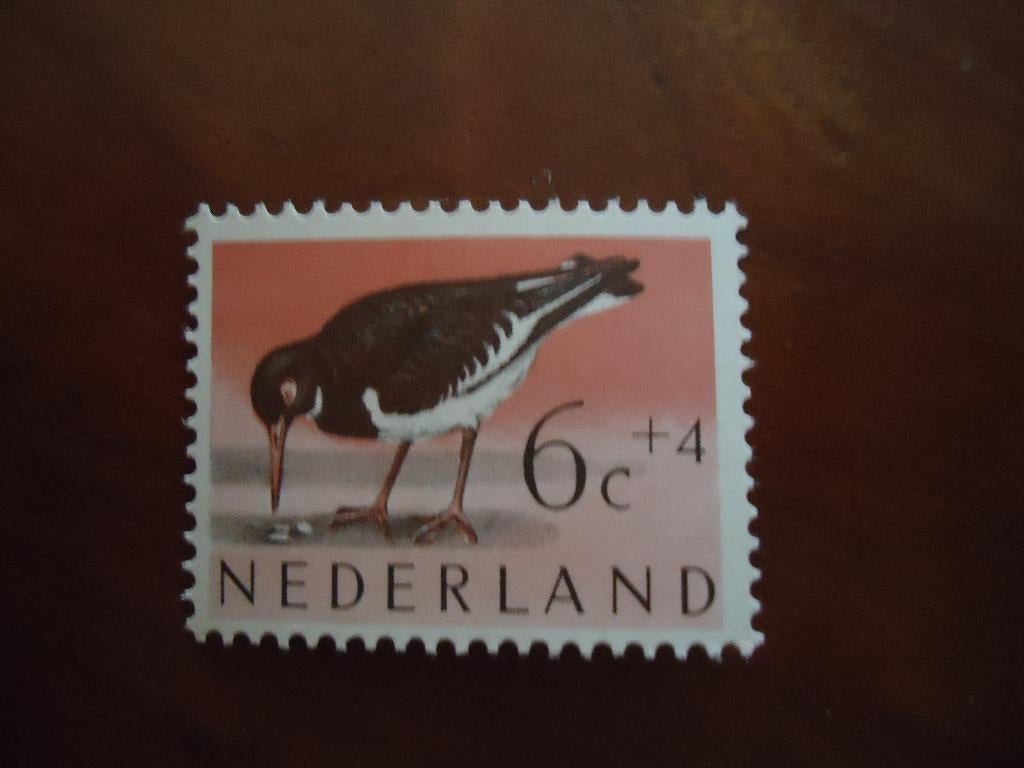 Vogel scholekster Nederland 1961, mi. 761 postfris, Ophalen of Verzenden, Postfris, Dier of Natuur