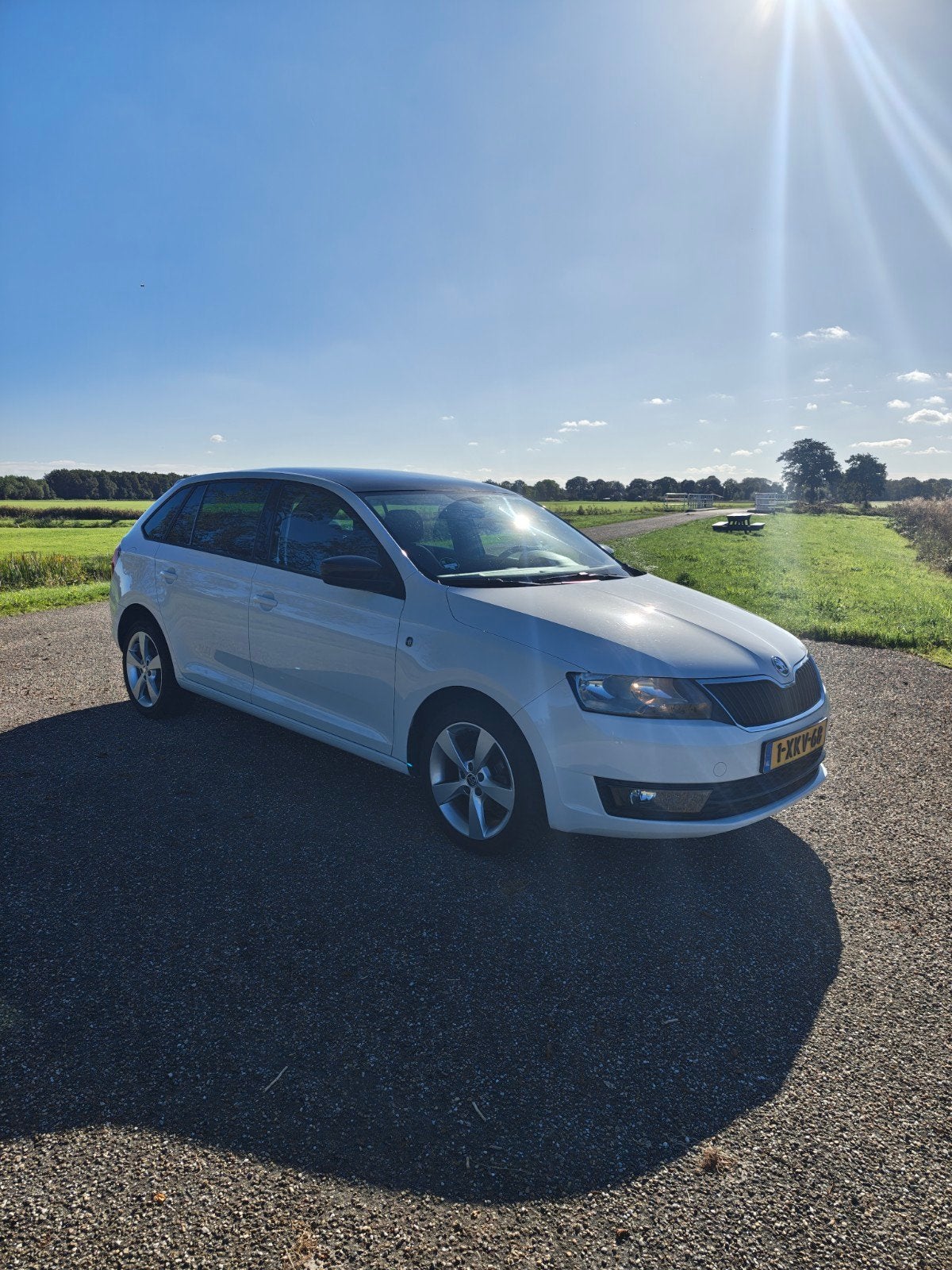 Skoda Rapid 1.2 TSI Pano, nieuwe Apk tot 1 okt 2027!, Auto's, Voorwielaandrijving, Dealer onderhouden, 4 cilinders, Origineel Nederlands