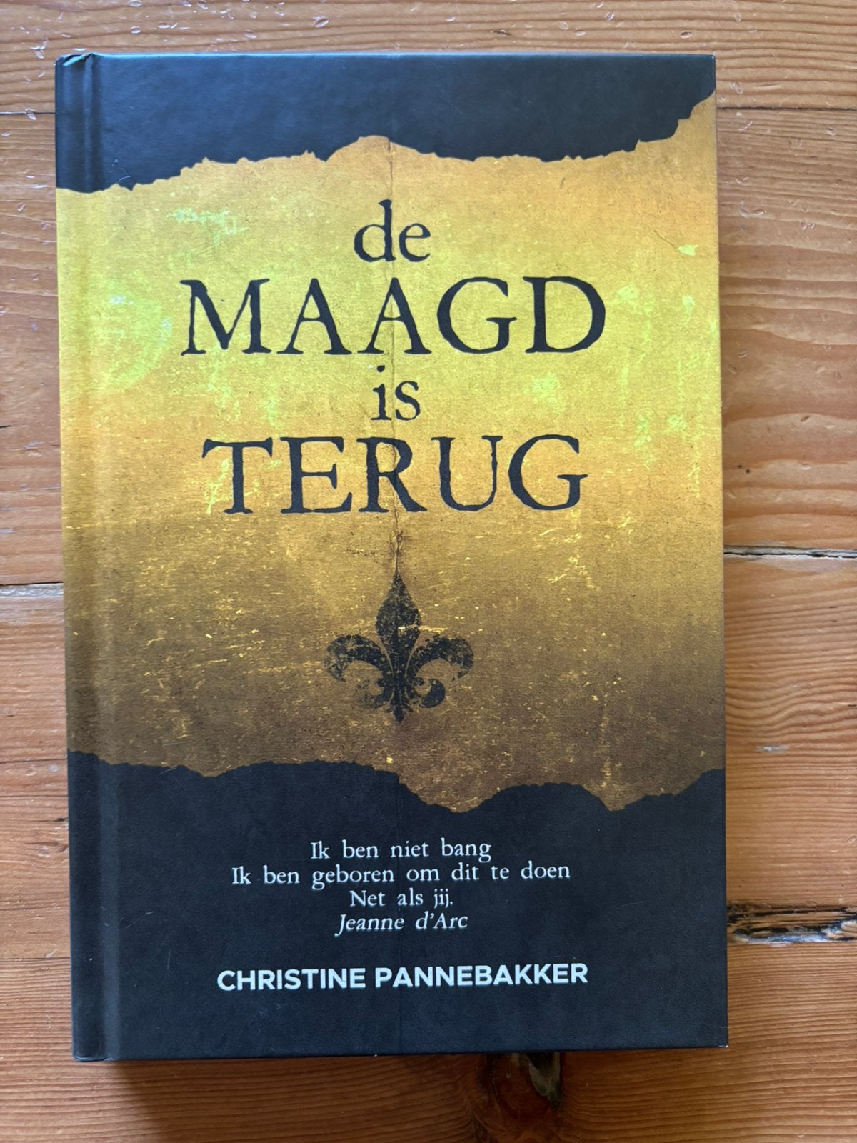 De maagd is terug - Christine Pannebakker, Ophalen of Verzenden, Gelezen, Overige onderwerpen, Achtergrond en Informatie