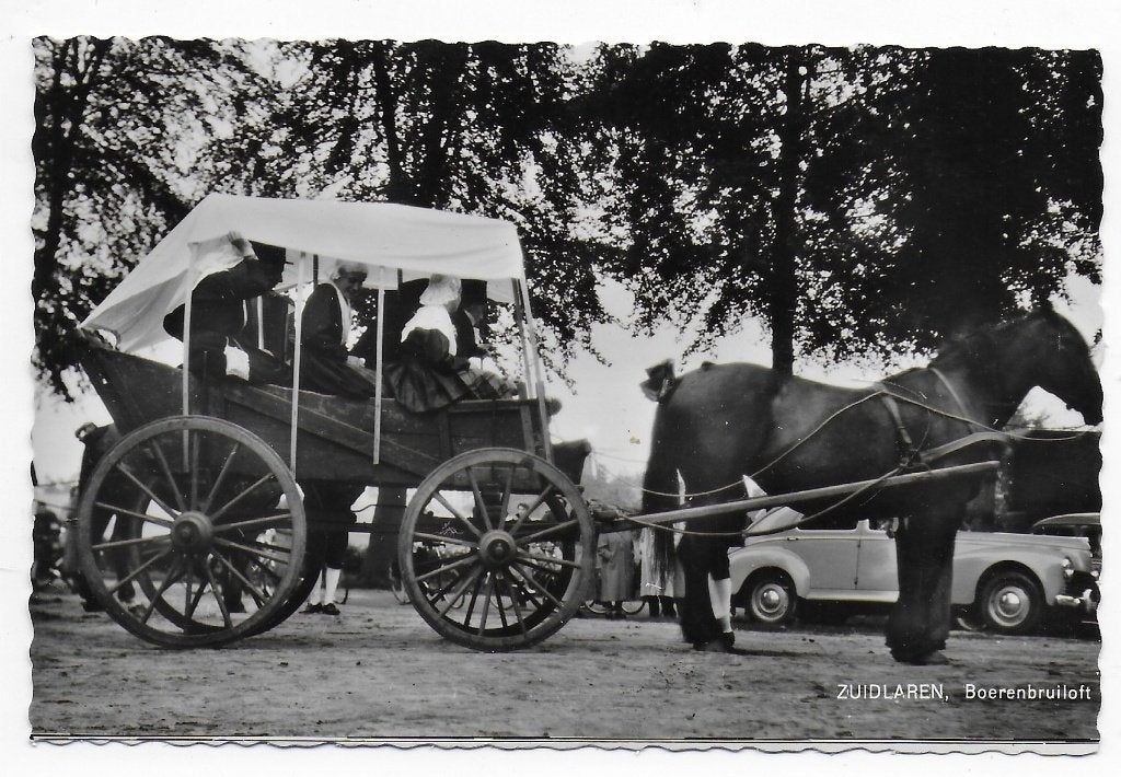 Zuidlaren Boerenbruiloft oude gelopen Ansichtkaart ( B7713, Ophalen of Verzenden, 1960 tot 1980, Gelopen