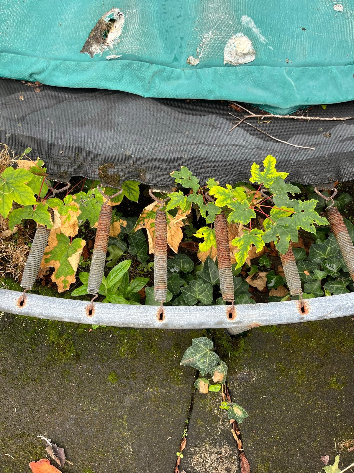 Trampoline frame (veren verroest), Ophalen, Gebruikt