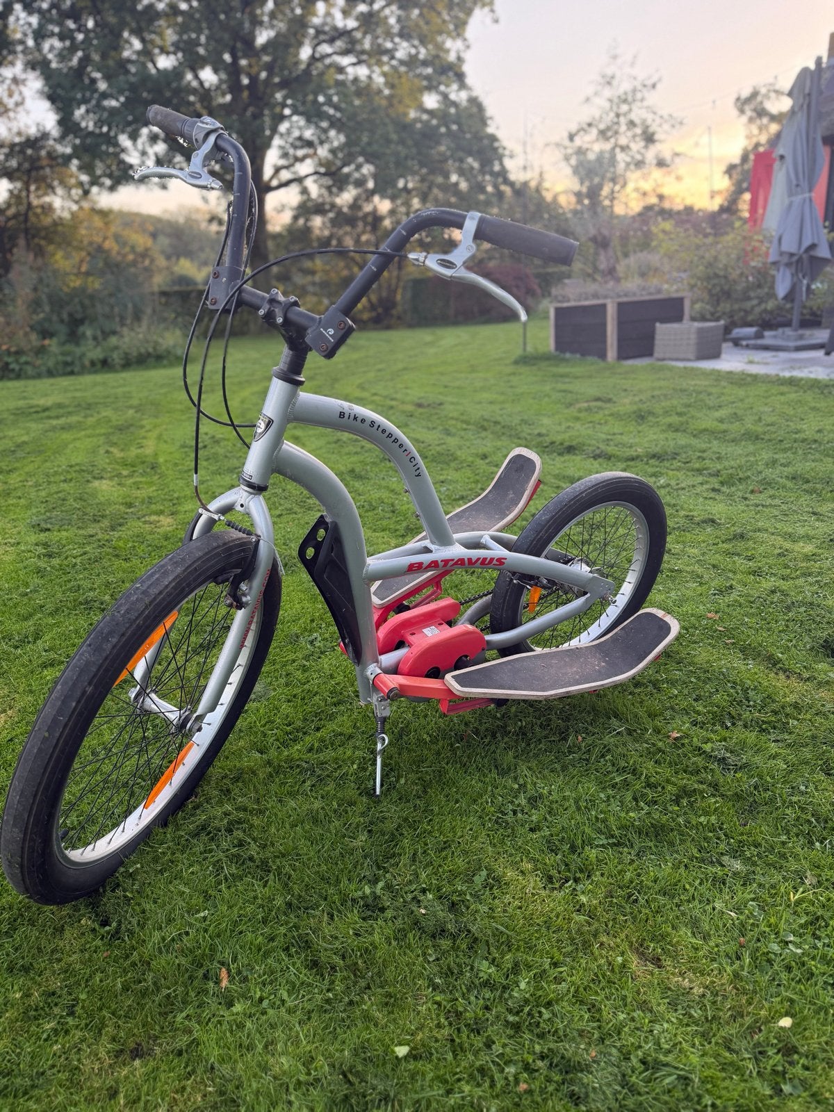 Foto 3 van Batavus Bike Stepper/City - Unieke Stepfiets