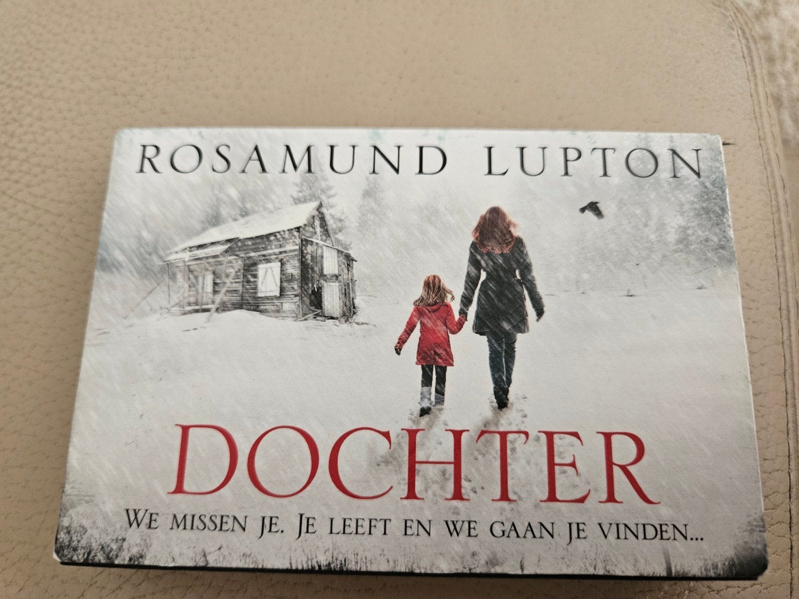 Dochter - Rosamund Lupton (Dwarsligger), Boeken, Ophalen of Verzenden, Gelezen, Rosamund Lupton
