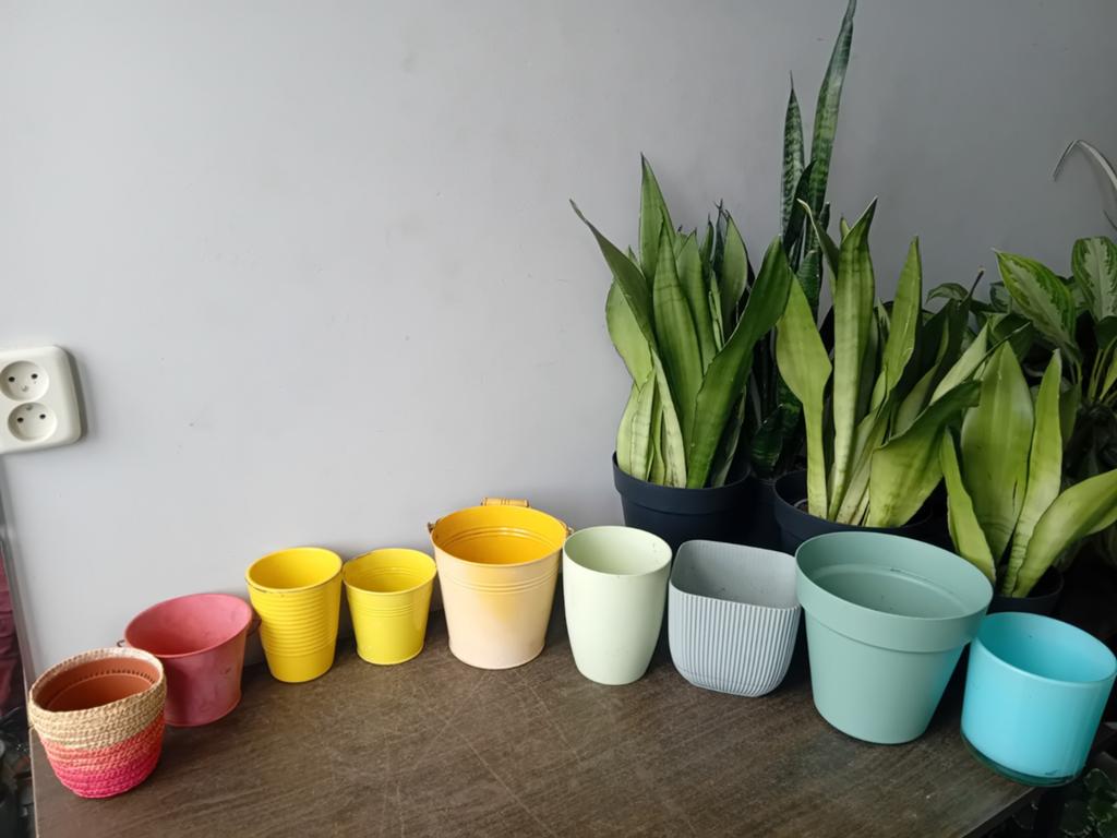 9 oude bloempotjes, diameter 10 tot 20cm, Tuin en Terras, Bloempotten, Ophalen, Kunststof, Gebruikt, Rond