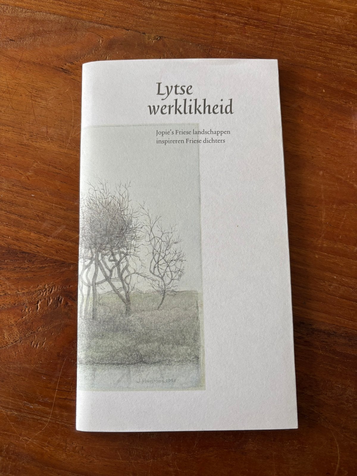 Lytse werklikheid - Jopie Huisman Museum, Ophalen of Verzenden, Zo goed als nieuw
