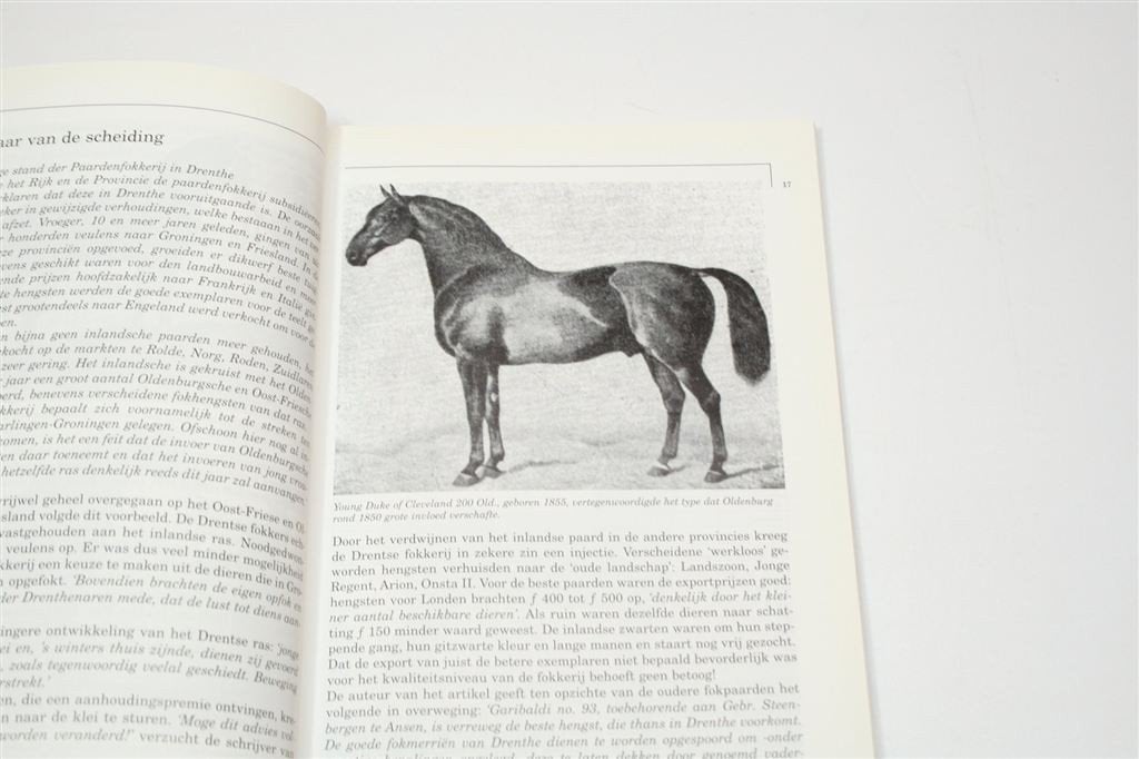 Paardenstamboek Drenthe — 100 Jaar Warmbloed KWPN, Ophalen of Verzenden, Gelezen