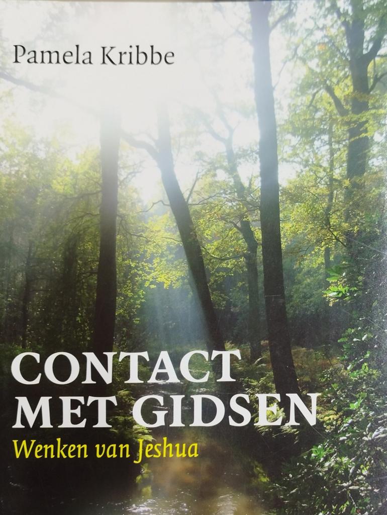 Contact met Gidsen - Wenken van Jeshua - Pamela Kribbe, Boeken, Achtergrond en Informatie, Spiritualiteit algemeen, Nieuw, Ophalen of Verzenden