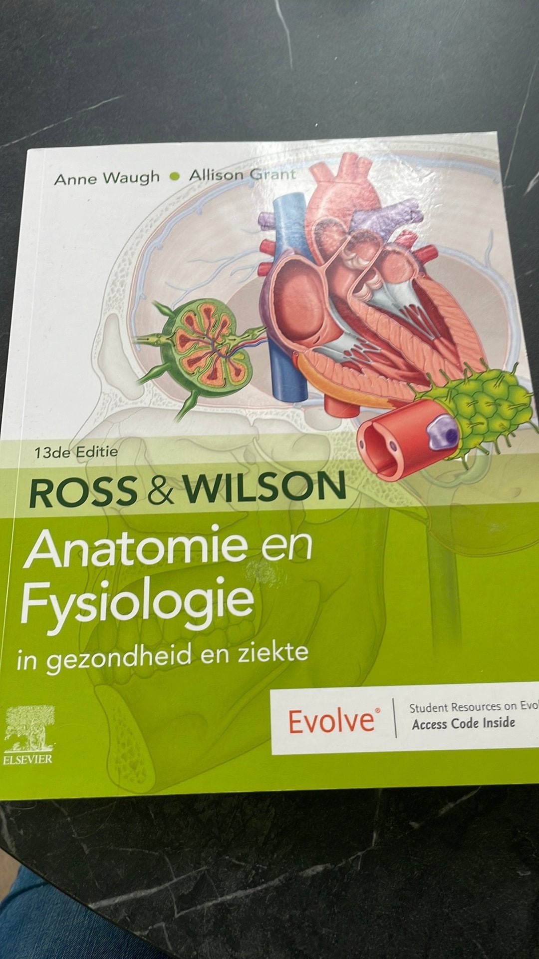 Anatomie en fysiologie, Verzenden, Zo goed als nieuw, Overige niveaus, Nederlands