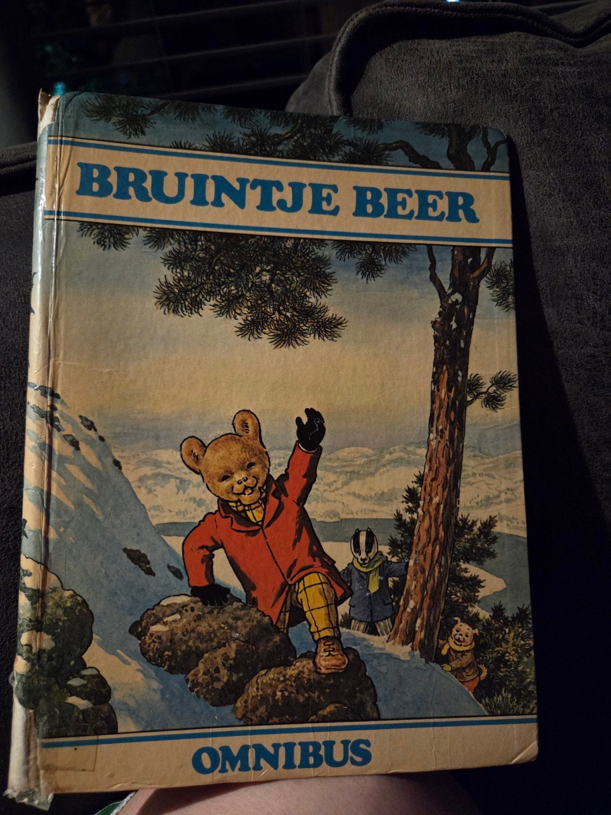 Bruintje Beer Omnibus - Vintage Kinderboek, Ophalen of Verzenden