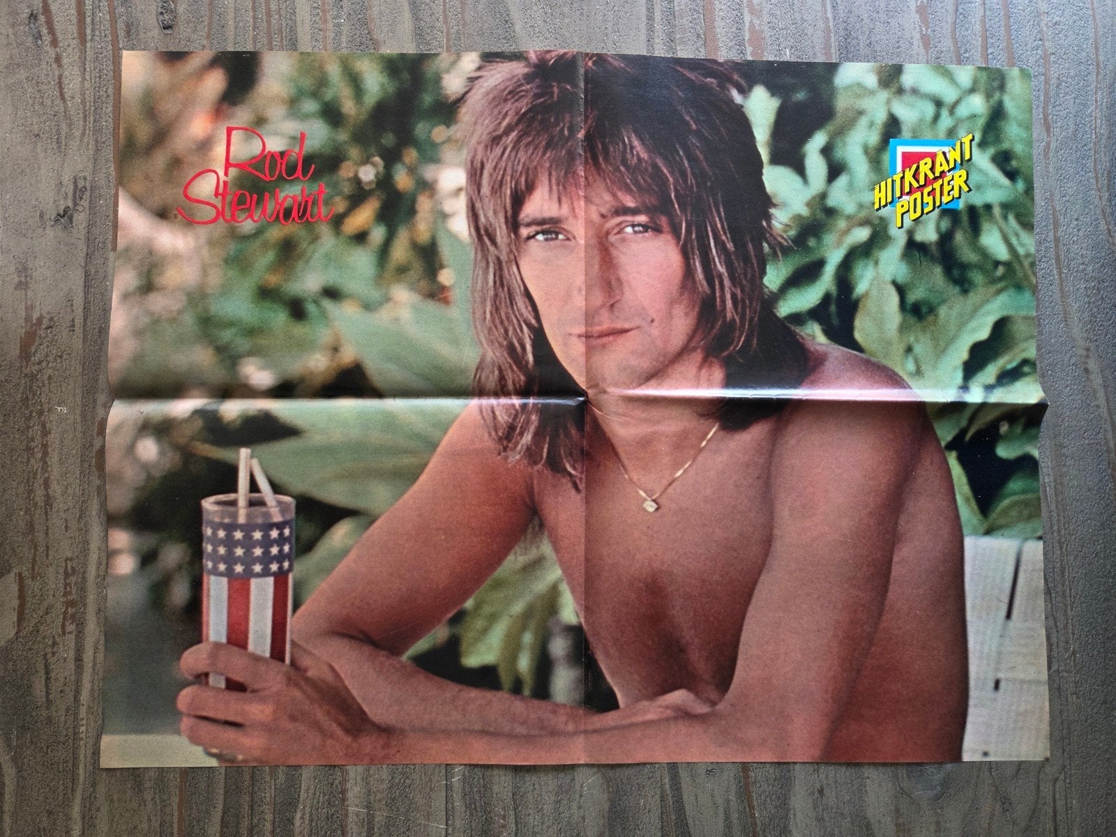 Rod Stewart Poster - Vintage Muziek Poster, Ophalen of Verzenden, Gebruikt, A1 t/m A3, Muziek